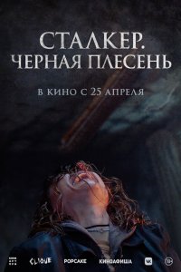  Сталкер. Черная плесень 